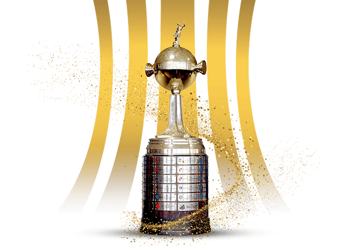 Botafogo parimatch